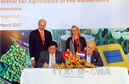 Hợp tác nông nghiệp Hà Lan - Việt Nam trước cơ hội mới